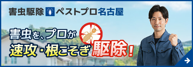 害虫駆除ペストプロ名古屋