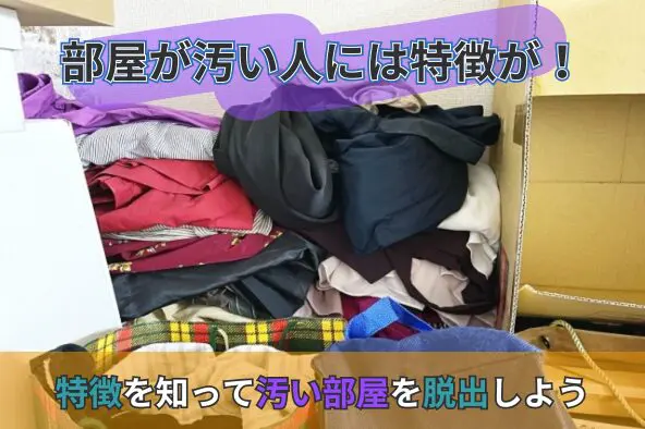 部屋掃除してたら出て来たふなっしー