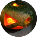 たい profile picture
