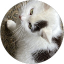 ぴぴのの profile picture