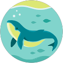 m m profile picture