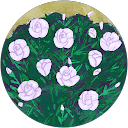 Hana Nishimura profile picture
